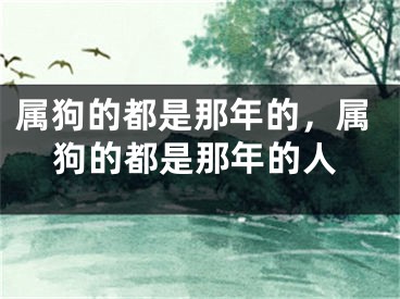 属狗的都是那年的，属狗的都是那年的人