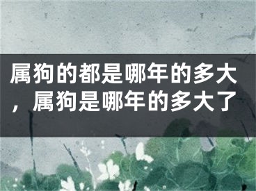 属狗的都是哪年的多大，属狗是哪年的多大了