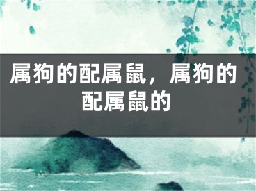 属狗的配属鼠，属狗的配属鼠的