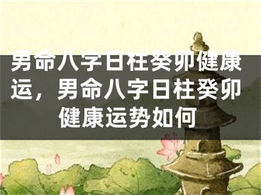 男命八字日柱癸卯健康运，男命八字日柱癸卯健康运势如何