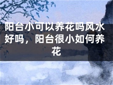 阳台小可以养花吗风水好吗,阳台很小如何养花