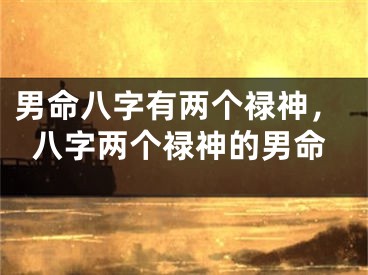 男命八字有两个禄神，八字两个禄神的男命
