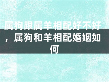 属狗跟属羊相配好不好，属狗和羊相配婚姻如何