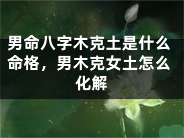 男命八字木克土是什么命格，男木克女土怎么化解