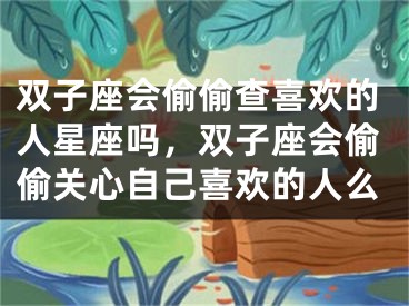 双子座会偷偷查喜欢的人星座吗,双子座会偷偷关心自己喜欢的人么