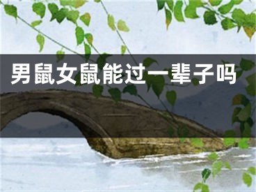 男鼠女鼠能过一辈子吗