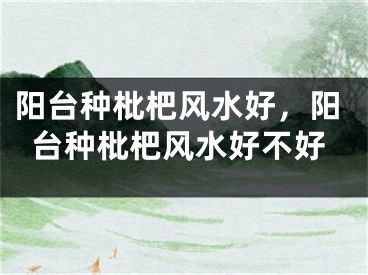 阳台种枇杷风水好，阳台种枇杷风水好不好