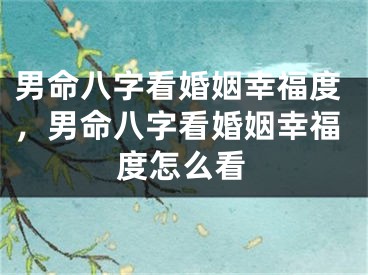男命八字看婚姻幸福度，男命八字看婚姻幸福度怎么看