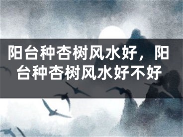 阳台种杏树风水好，阳台种杏树风水好不好