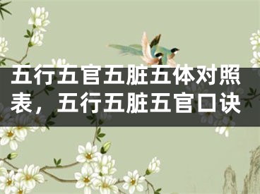 五行五官五脏五体对照表,五行五脏五官口诀