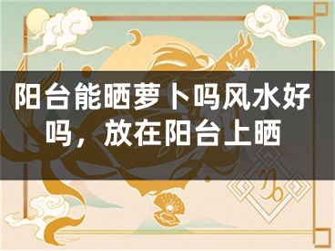 阳台能晒萝卜吗风水好吗，放在阳台上晒