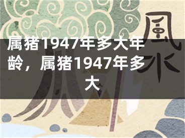 属猪1947年多大年龄，属猪1947年多大