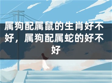 属狗配属鼠的生肖好不好，属狗配属蛇的好不好