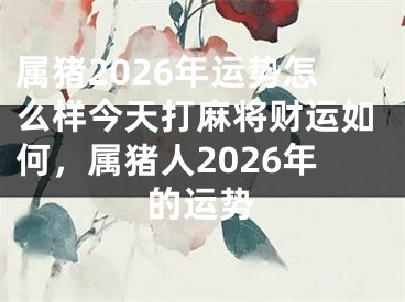 属猪2026年运势怎么样今天打麻将财运如何,属猪人2026年的运势