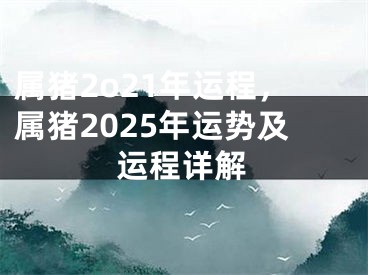 属猪2o21年运程，属猪2025年运势及运程详解