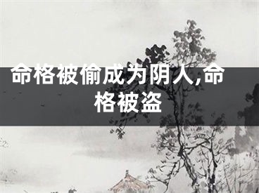 命格被偷成为阴人,命格被盗