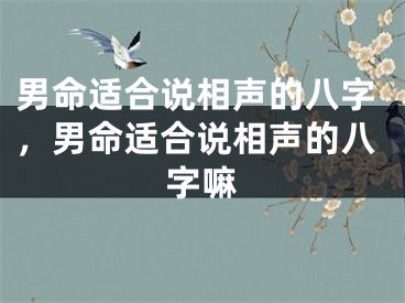 男命适合说相声的八字，男命适合说相声的八字嘛
