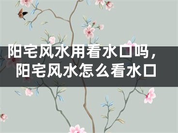 阳宅风水用看水口吗,阳宅风水怎么看水口