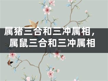 属猪三合和三冲属相，属鼠三合和三冲属相