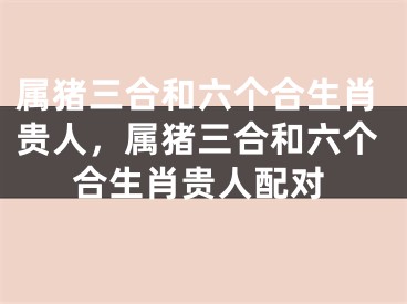 属猪三合和六个合生肖贵人，属猪三合和六个合生肖贵人配对