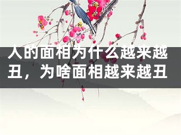 人的面相为什么越来越丑,为啥面相越来越丑
