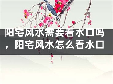 阳宅风水需要看水口吗,阳宅风水怎么看水口