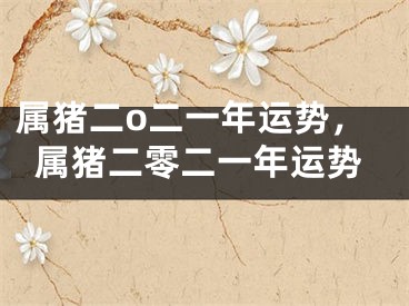 属猪二o二一年运势，属猪二零二一年运势