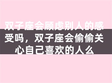 双子座会顾虑别人的感受吗,双子座会偷偷关心自己喜欢的人么
