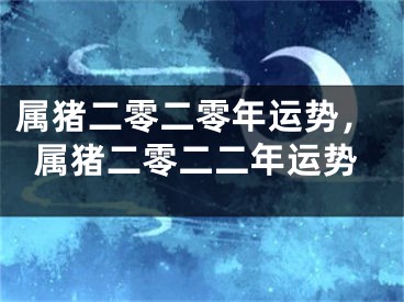 属猪二零二零年运势，属猪二零二二年运势