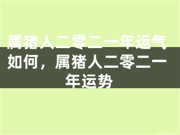 属猪人二零二一年运气如何，属猪人二零二一年运势