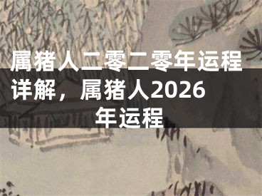 属猪人二零二零年运程详解，属猪人2026年运程