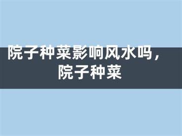院子种菜影响风水吗，院子种菜