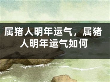 属猪人明年运气,属猪人明年运气如何