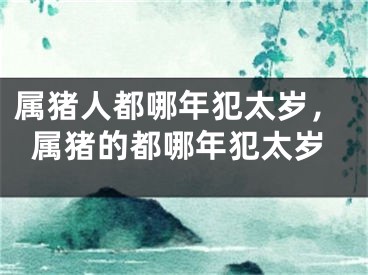 属猪人都哪年犯太岁，属猪的都哪年犯太岁
