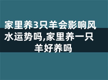 家里养3只羊会影响风水运势吗,家里养一只羊好养吗