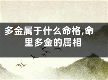 多金属于什么命格,命里多金的属相