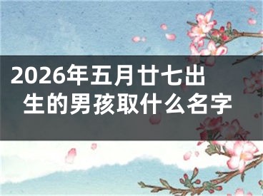 2026年五月廿七出生的男孩取什么名字