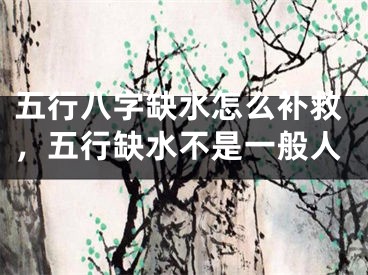 五行八字缺水怎么补救，五行缺水不是一般人