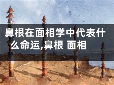 鼻根在面相学中代表什么命运,鼻根 面相
