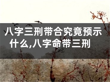 八字三刑带合究竟预示什么,八字命带三刑