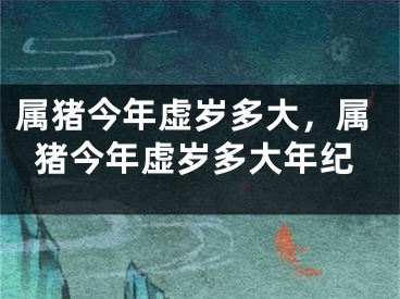 属猪今年虚岁多大,属猪今年虚岁多大年纪