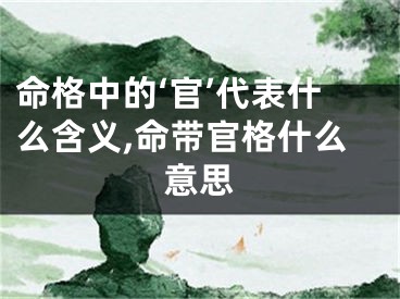 命格中的‘官’代表什么含义,命带官格什么意思