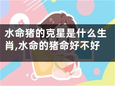 水命猪的克星是什么生肖,水命的猪命好不好