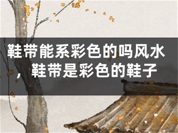 鞋带能系彩色的吗风水，鞋带是彩色的鞋子