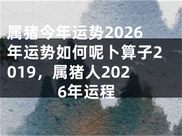 属猪今年运势2026年运势如何呢卜算子2019，属猪人2026年运程