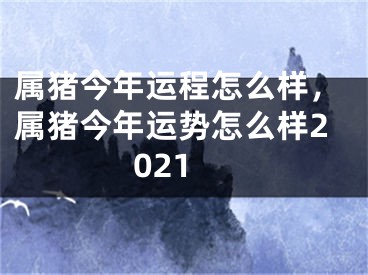 属猪今年运程怎么样，属猪今年运势怎么样2021