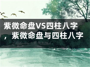 紫微命盘VS四柱八字，紫微命盘与四柱八字
