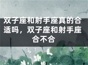 双子座和射手座真的合适吗，双子座和射手座合不合