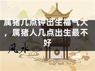 属猪几点钟出生福气大，属猪人几点出生最不好