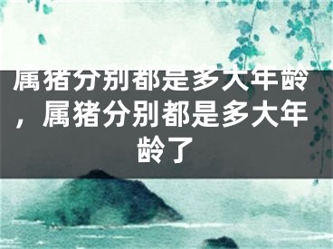 属猪分别都是多大年龄，属猪分别都是多大年龄了